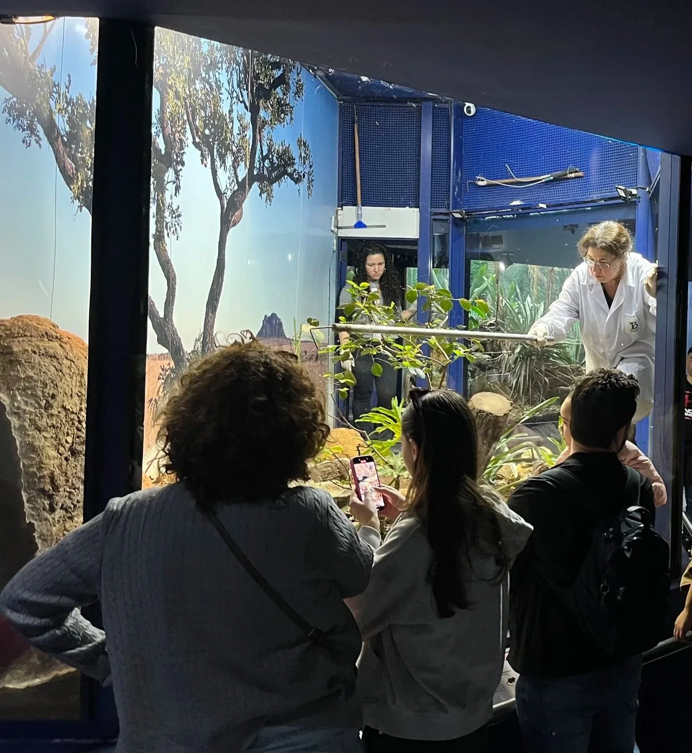 A group of people observing and recording a live animal demonstration at a zoo or aquarium. A female keeper in a white coat is handling a plant and working with animals inside an enclosed habitat, while visitors watch and take photos.