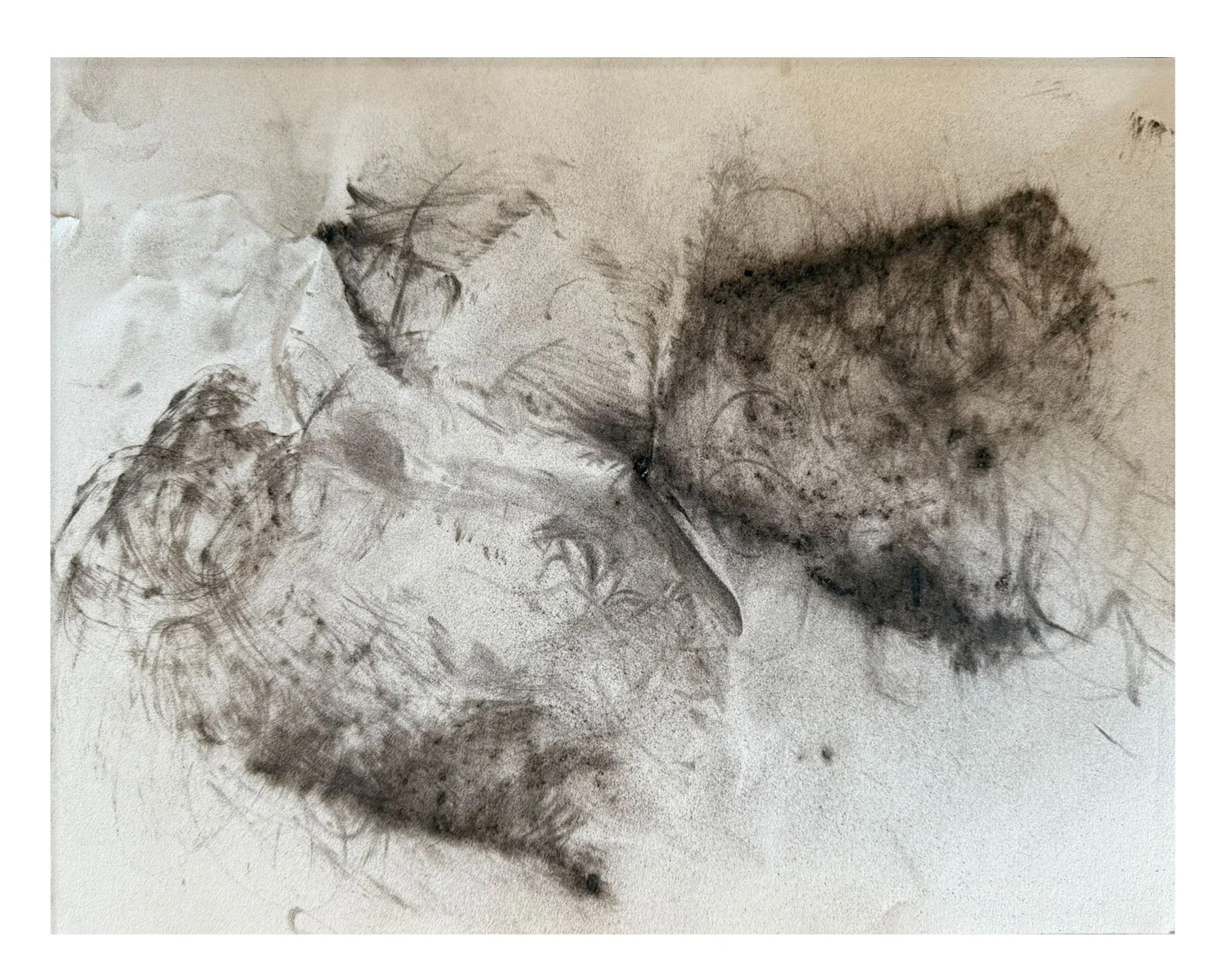 Mariposa Street Altadena-006.jpg