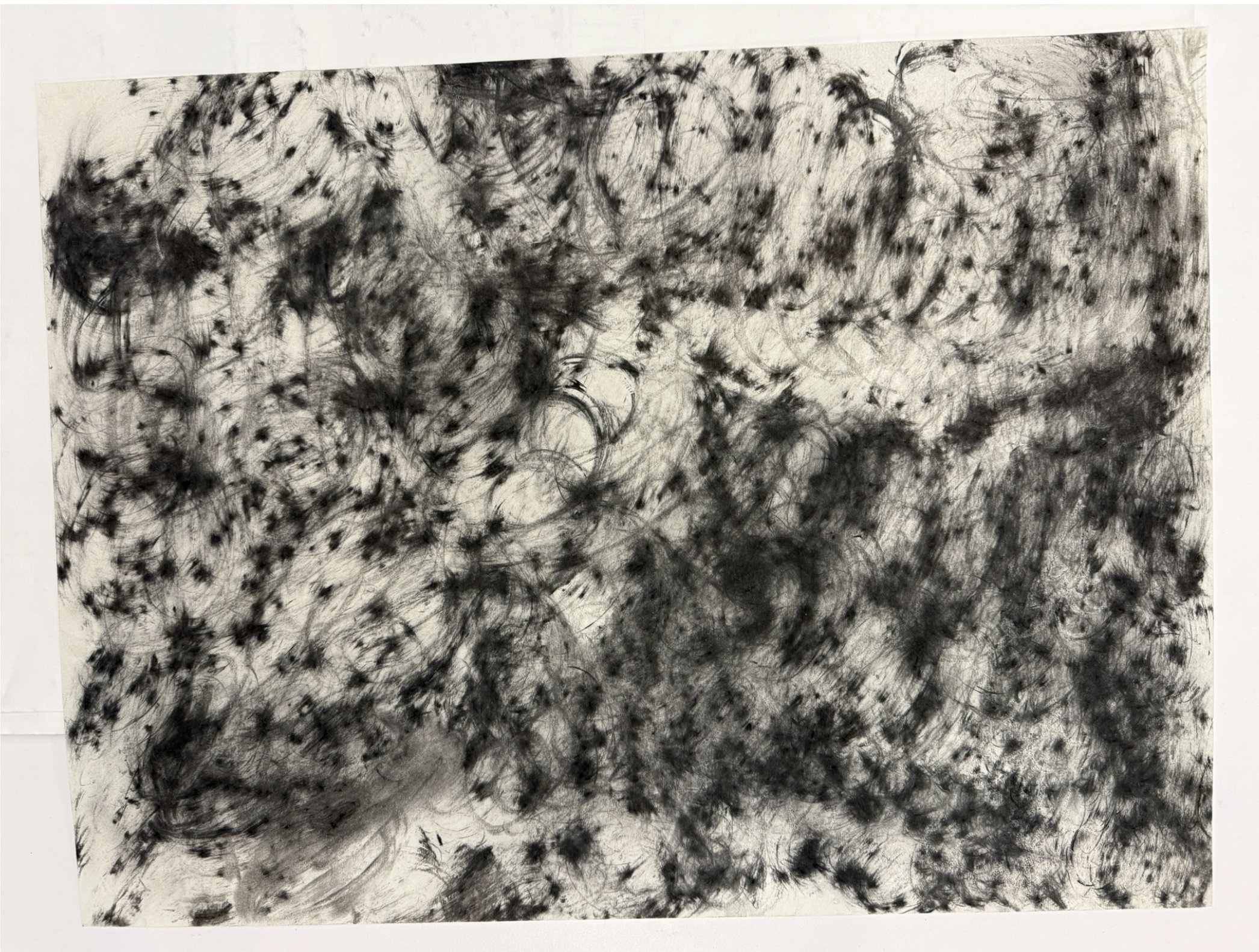 Limited Charcoal Works from Altadena Wildfire Sites