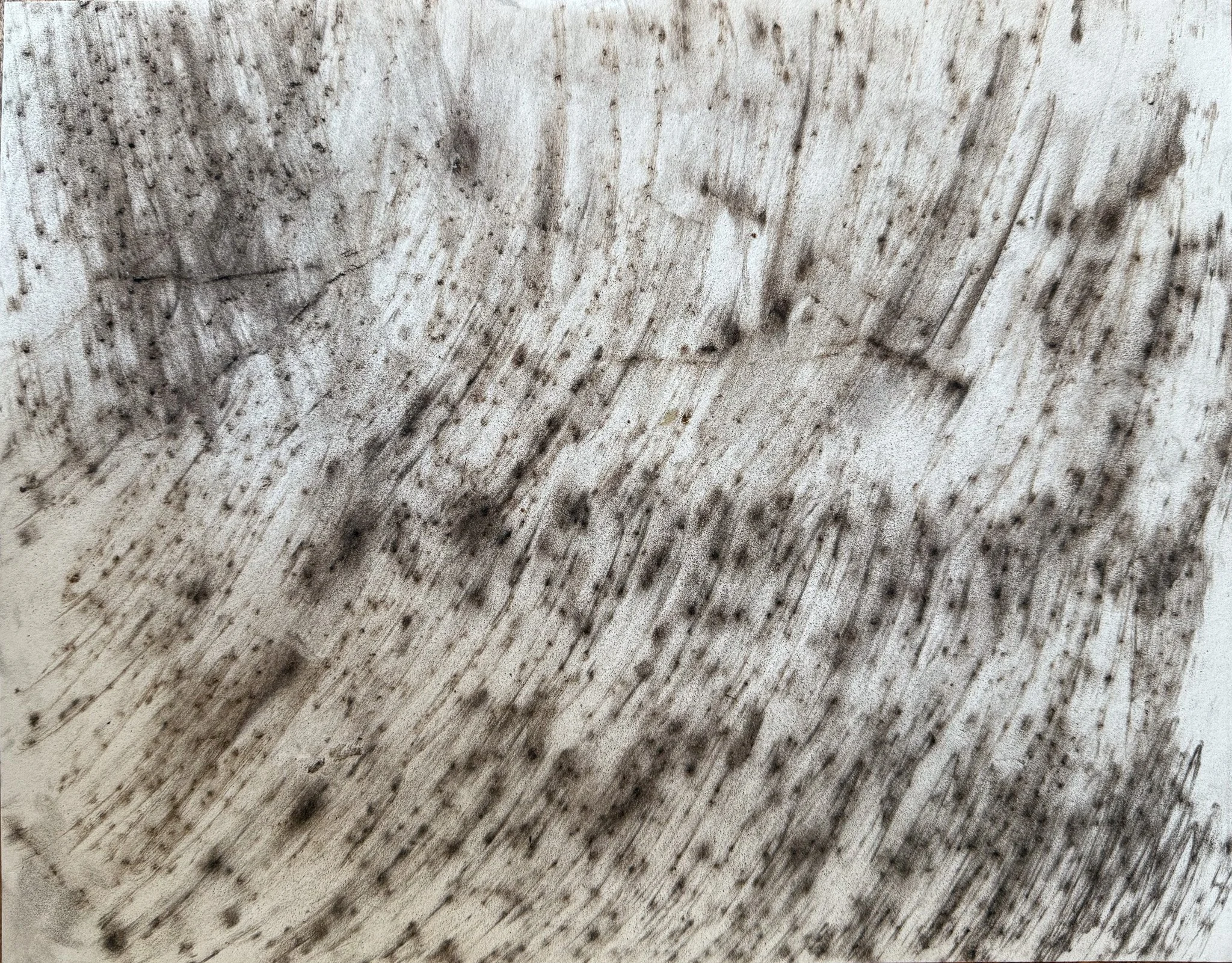 2025_eaton_charcoal_rubbing_024.jpg