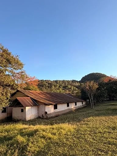 A rustic farmhouse at a coffee plantation origin against a clear blue sky.