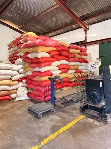 Bags of processed green coffee beans stacked in a warehouse at origin.