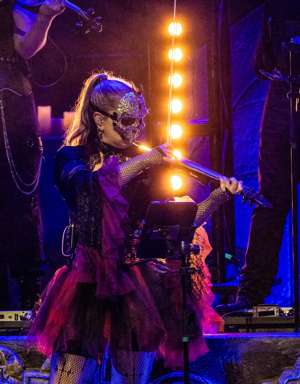 DSC_2487.jpg