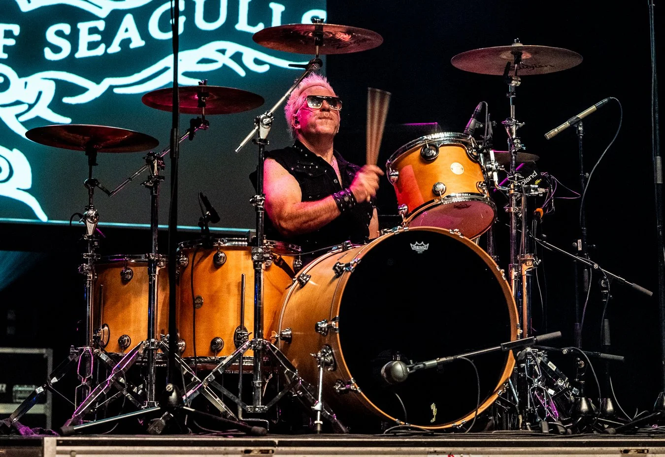FLOCK OF SEAGULLS (21).jpg