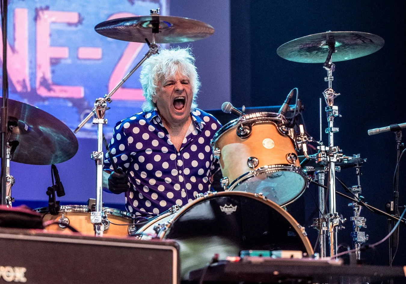 TOMMY TUTONE (38).jpg