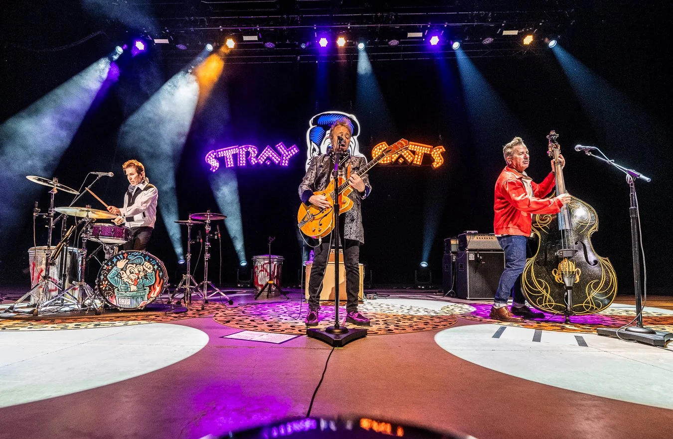 THE STRAY CATS (157).jpg