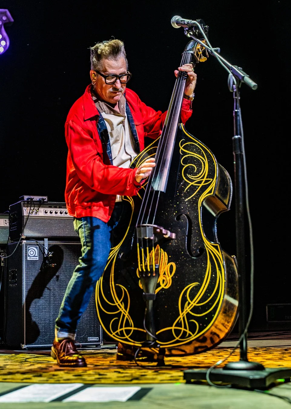 THE STRAY CATS (91).jpg