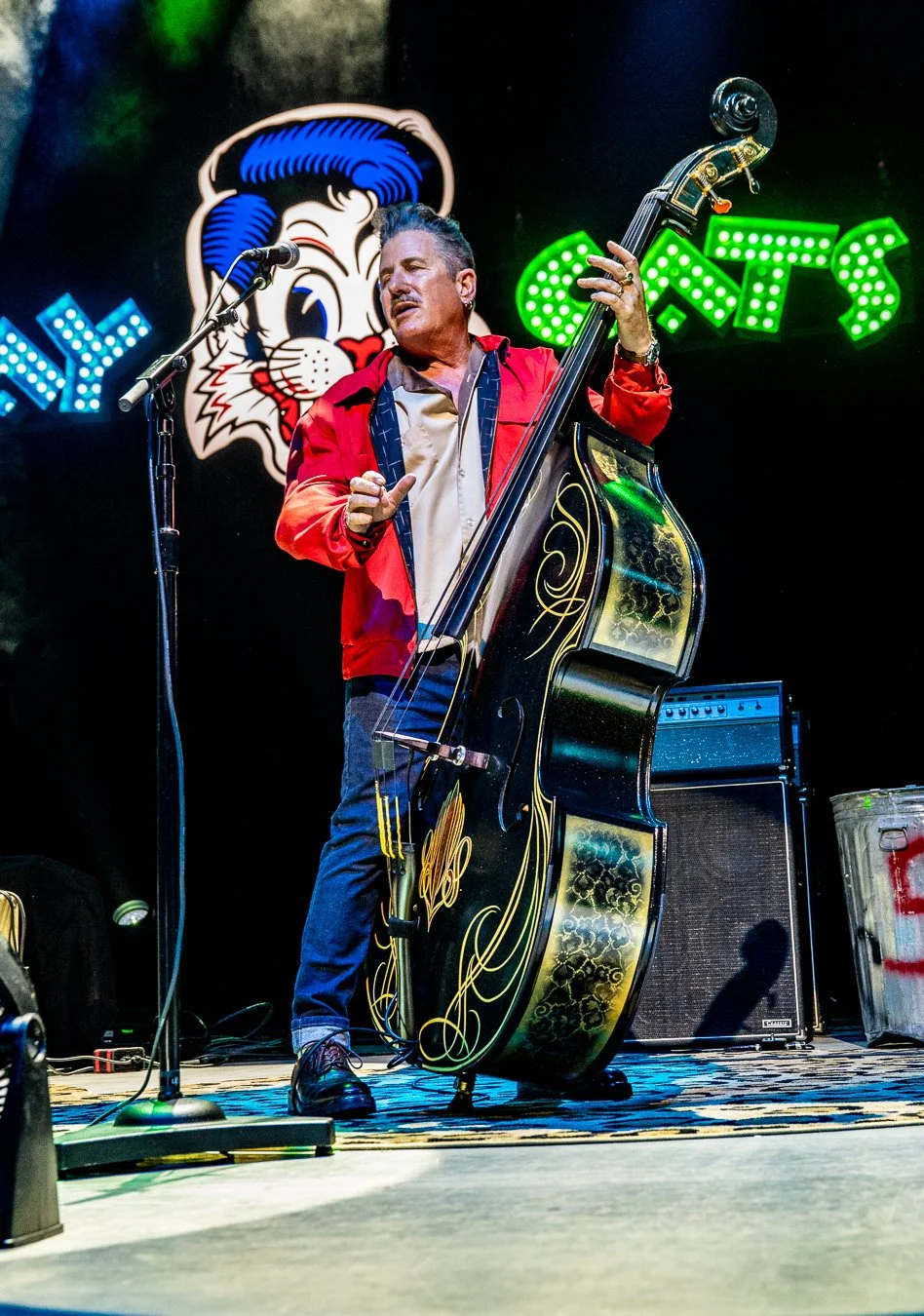 THE STRAY CATS (150).jpg