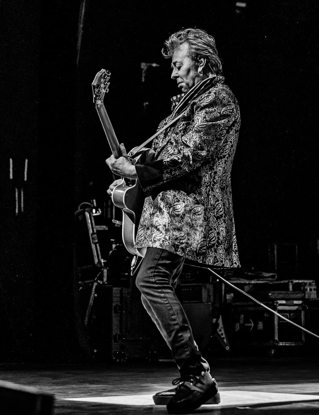 THE STRAY CATS (56).jpg