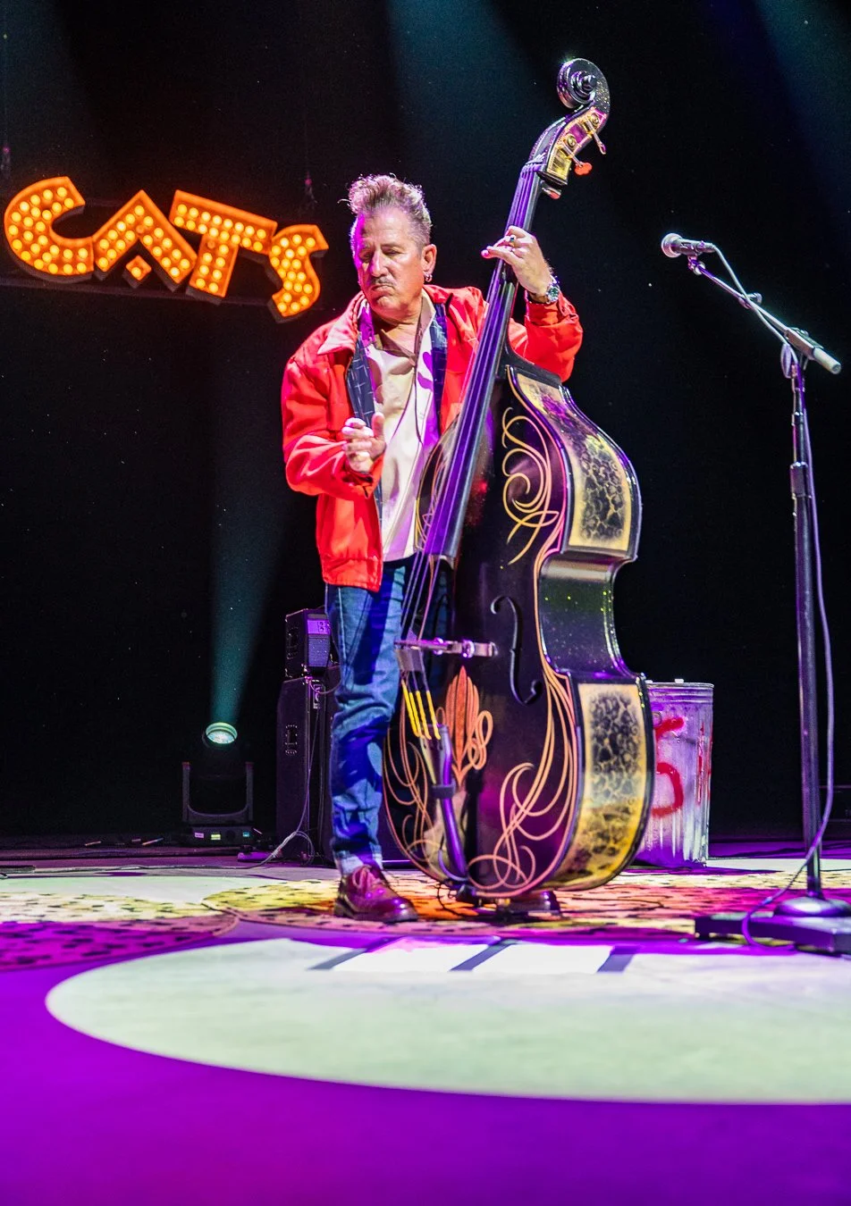 THE STRAY CATS (113).jpg