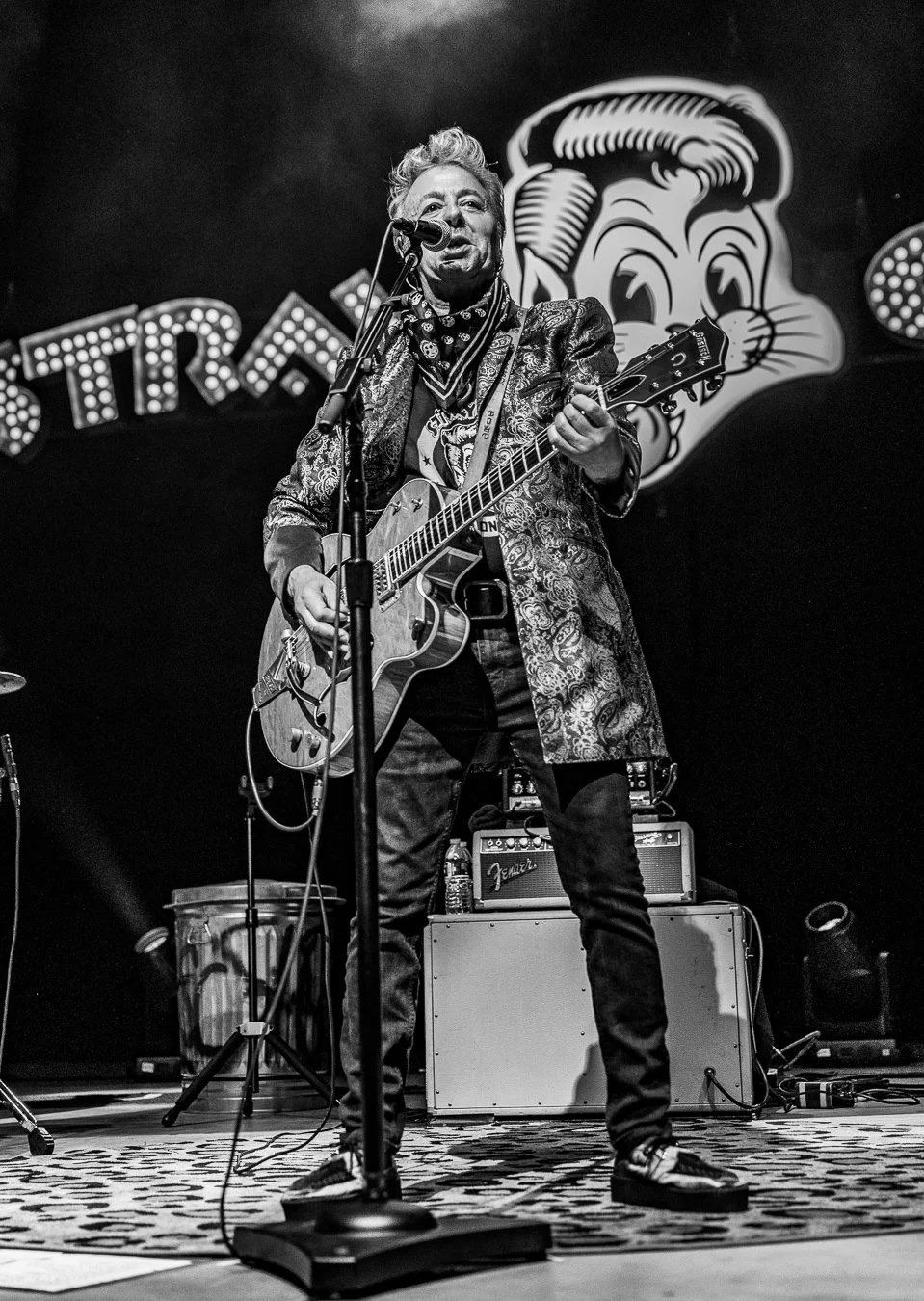 THE STRAY CATS (37).jpg