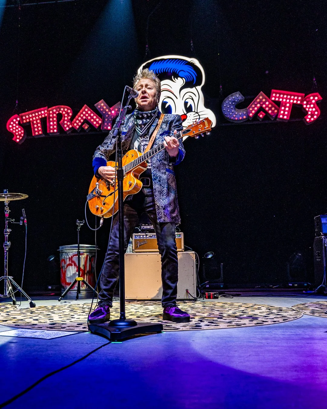 THE STRAY CATS (8).jpg