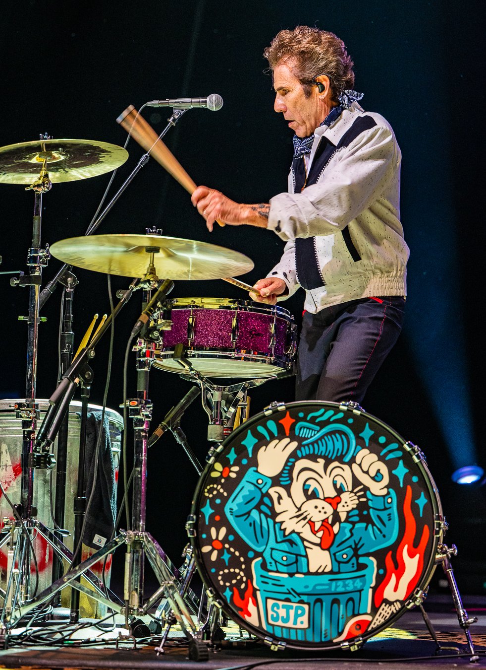 THE STRAY CATS (180).jpg
