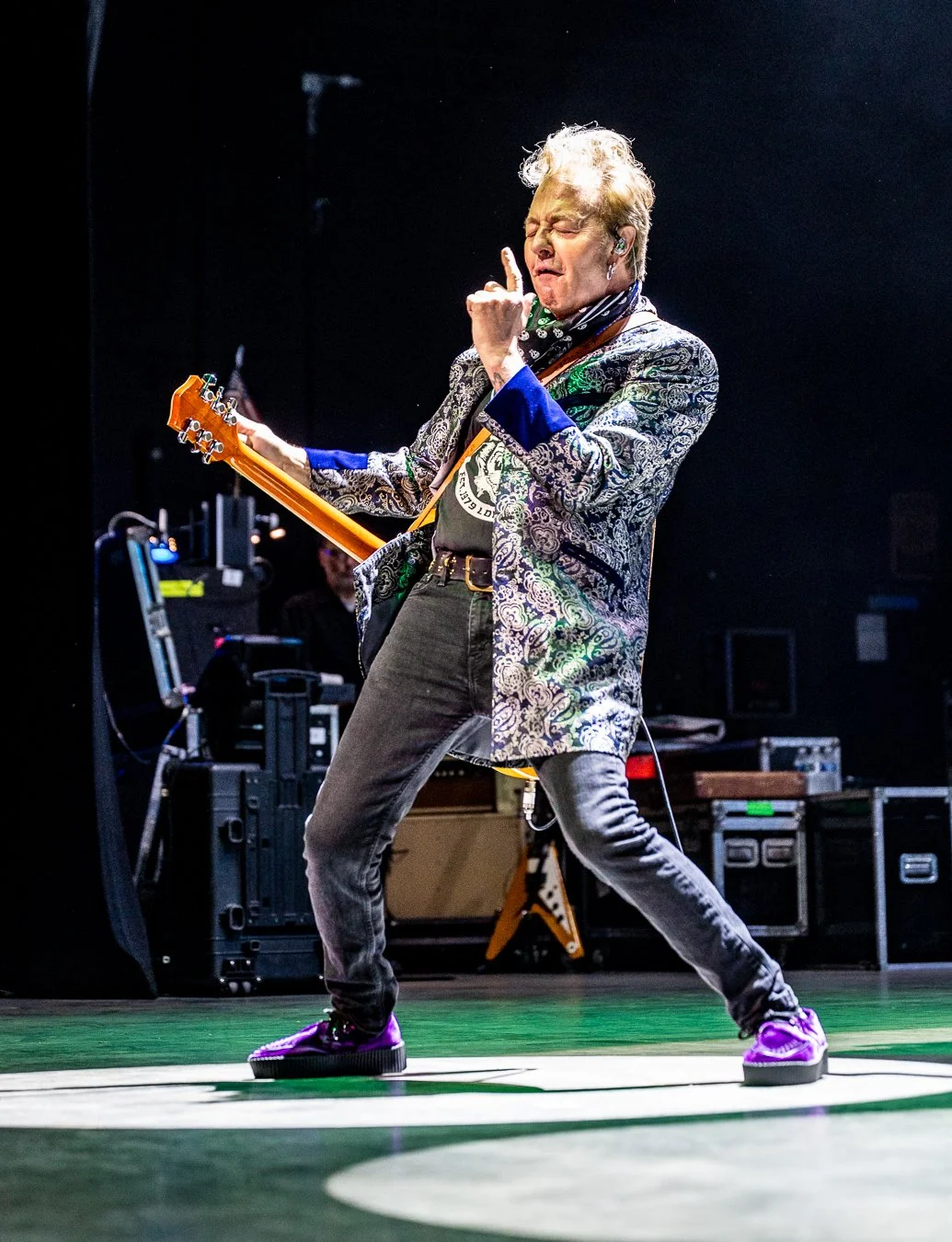 THE STRAY CATS (125).jpg
