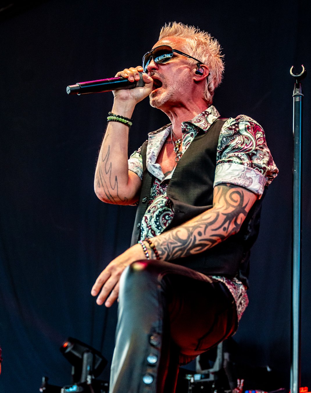STP (8).jpg