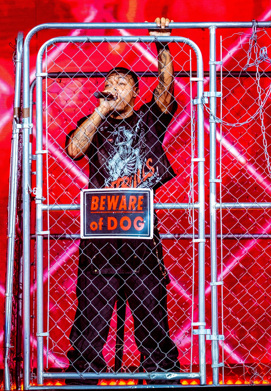 BOW WOW (22).jpg