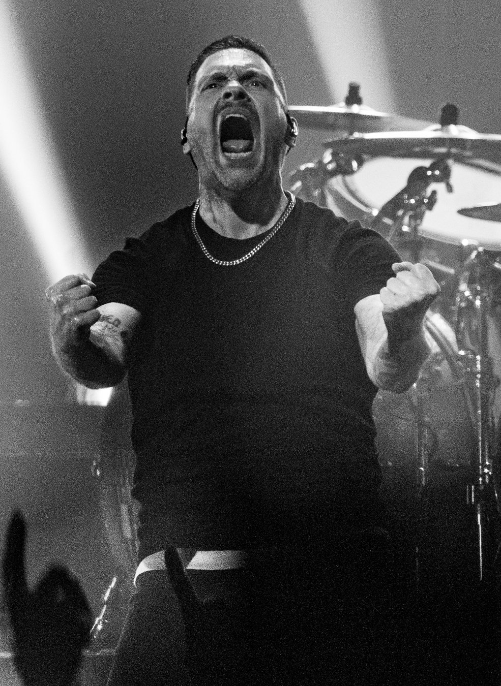 SHINEDOWN (106).jpg