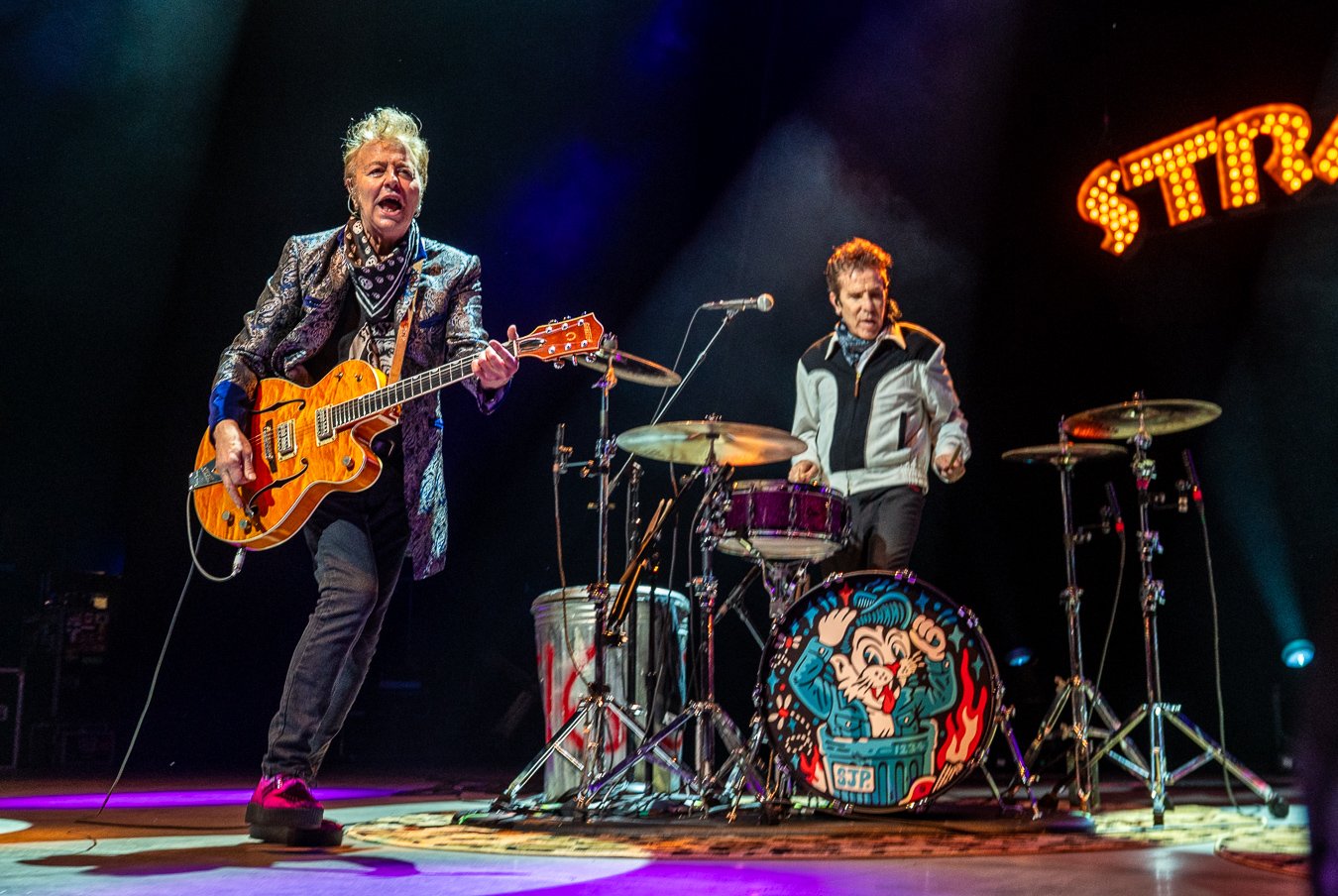 THE STRAY CATS (146).jpg
