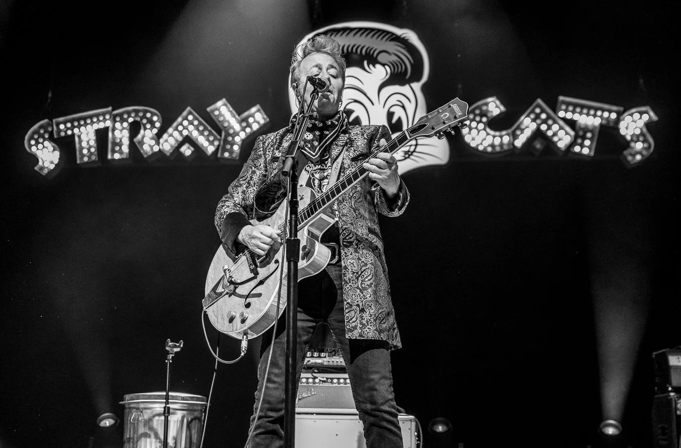 THE STRAY CATS (80).jpg