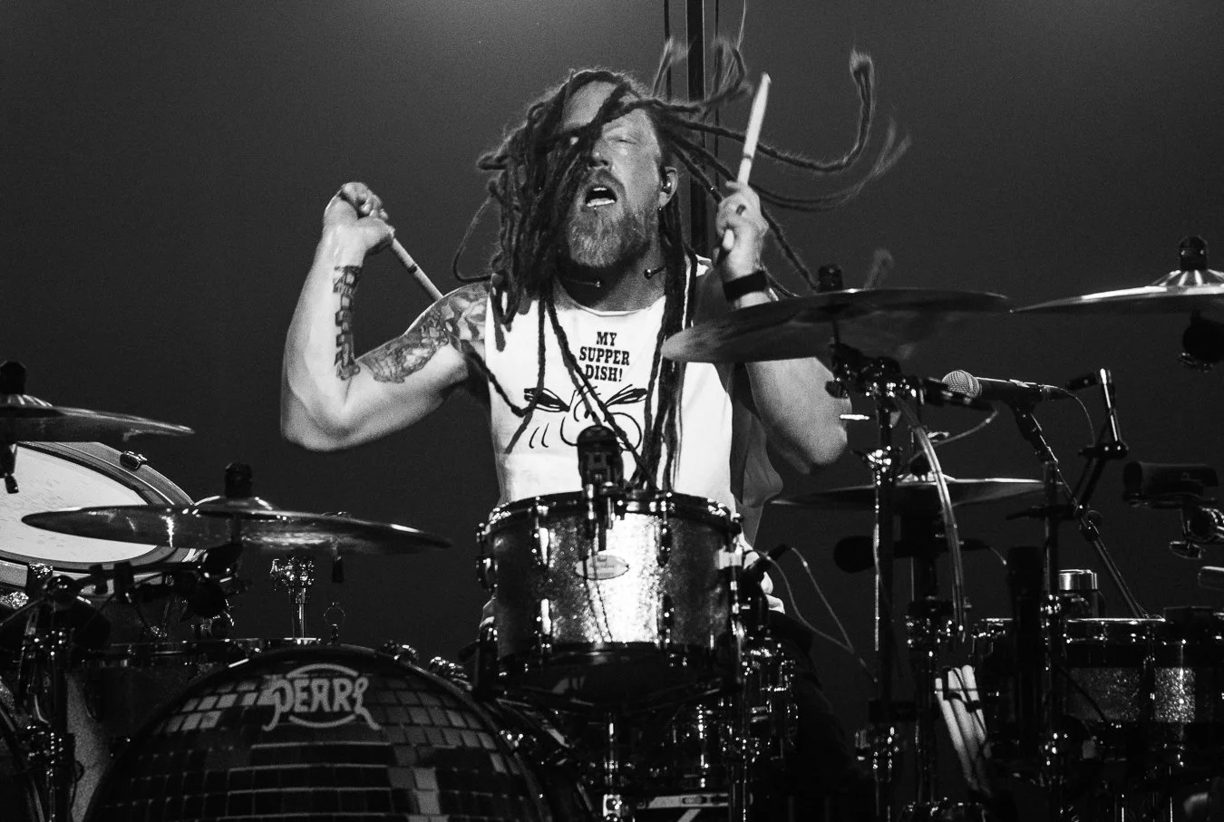 SHINEDOWN (88).jpg
