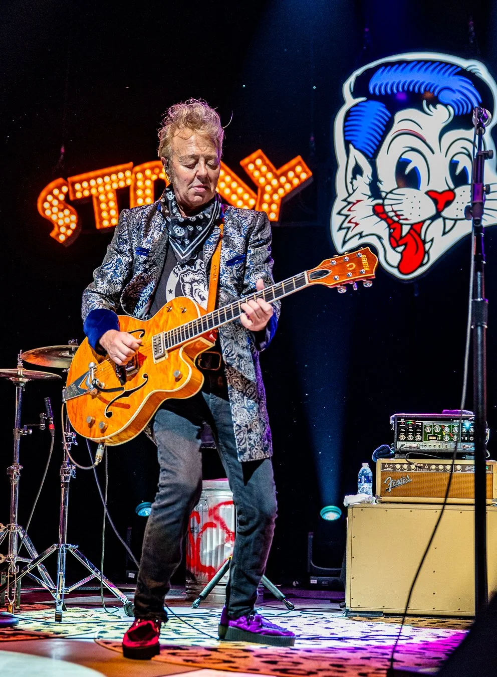 THE STRAY CATS (111).jpg