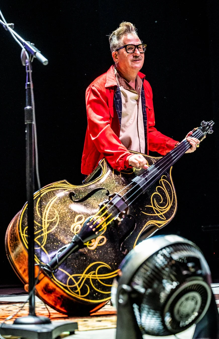 THE STRAY CATS (104).jpg