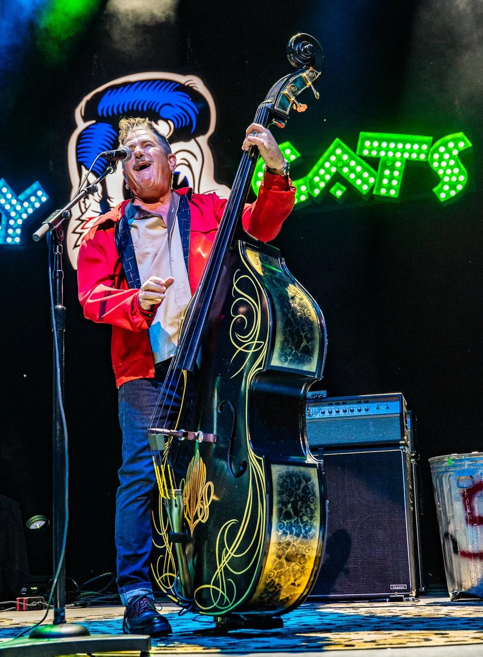 THE STRAY CATS (152).jpg