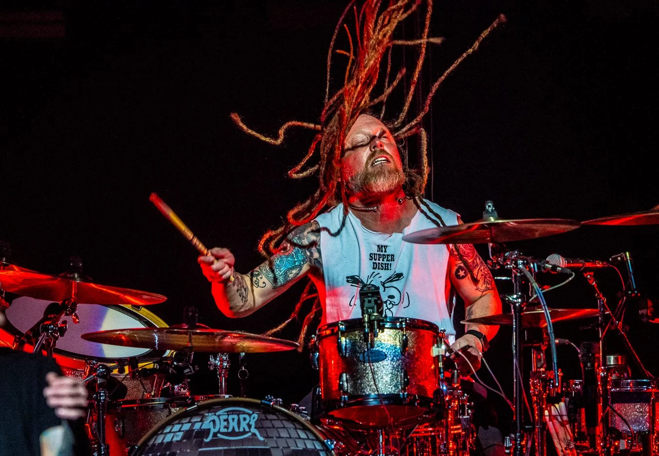 SHINEDOWN (45).jpg