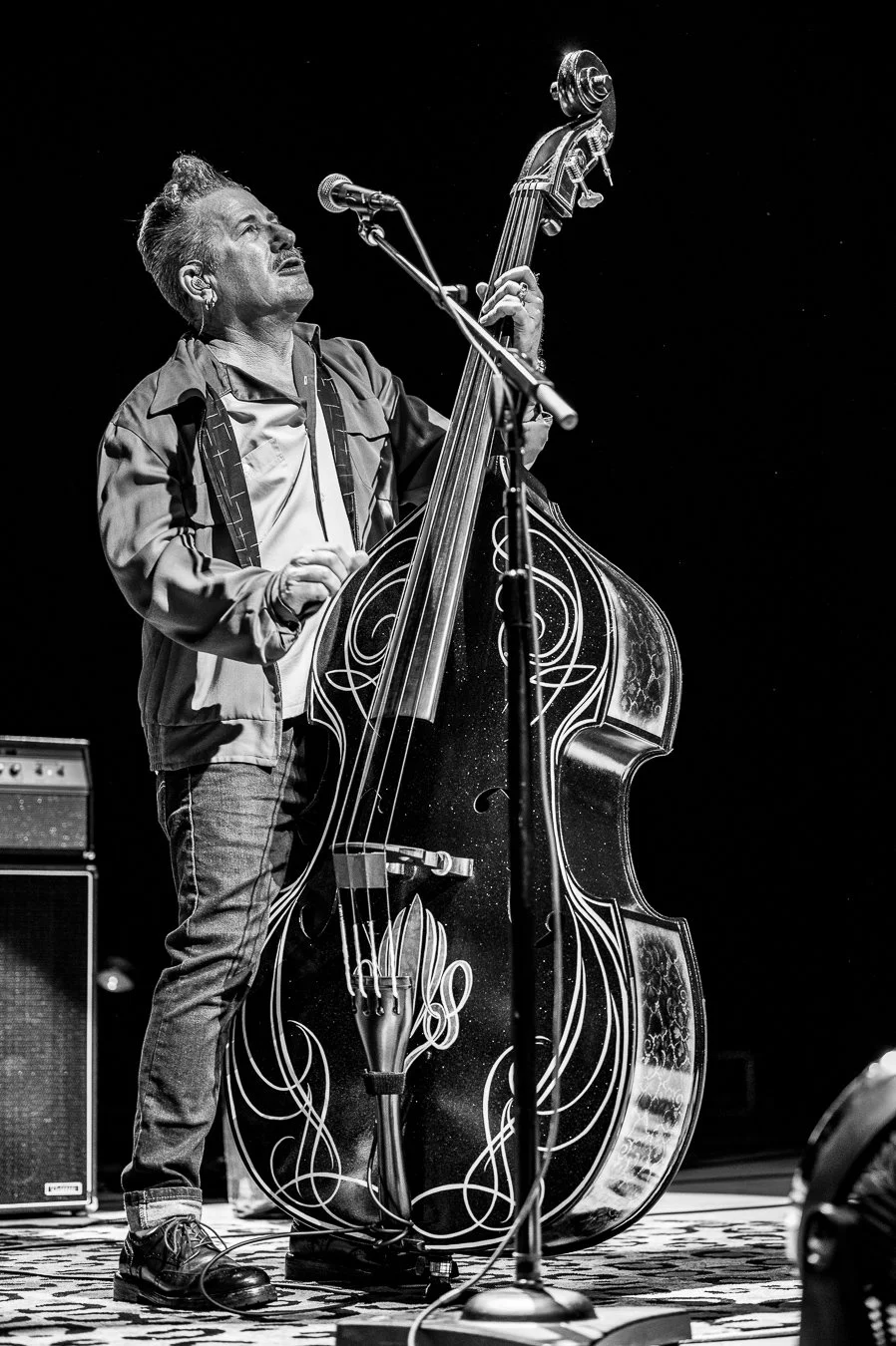 THE STRAY CATS (186).jpg