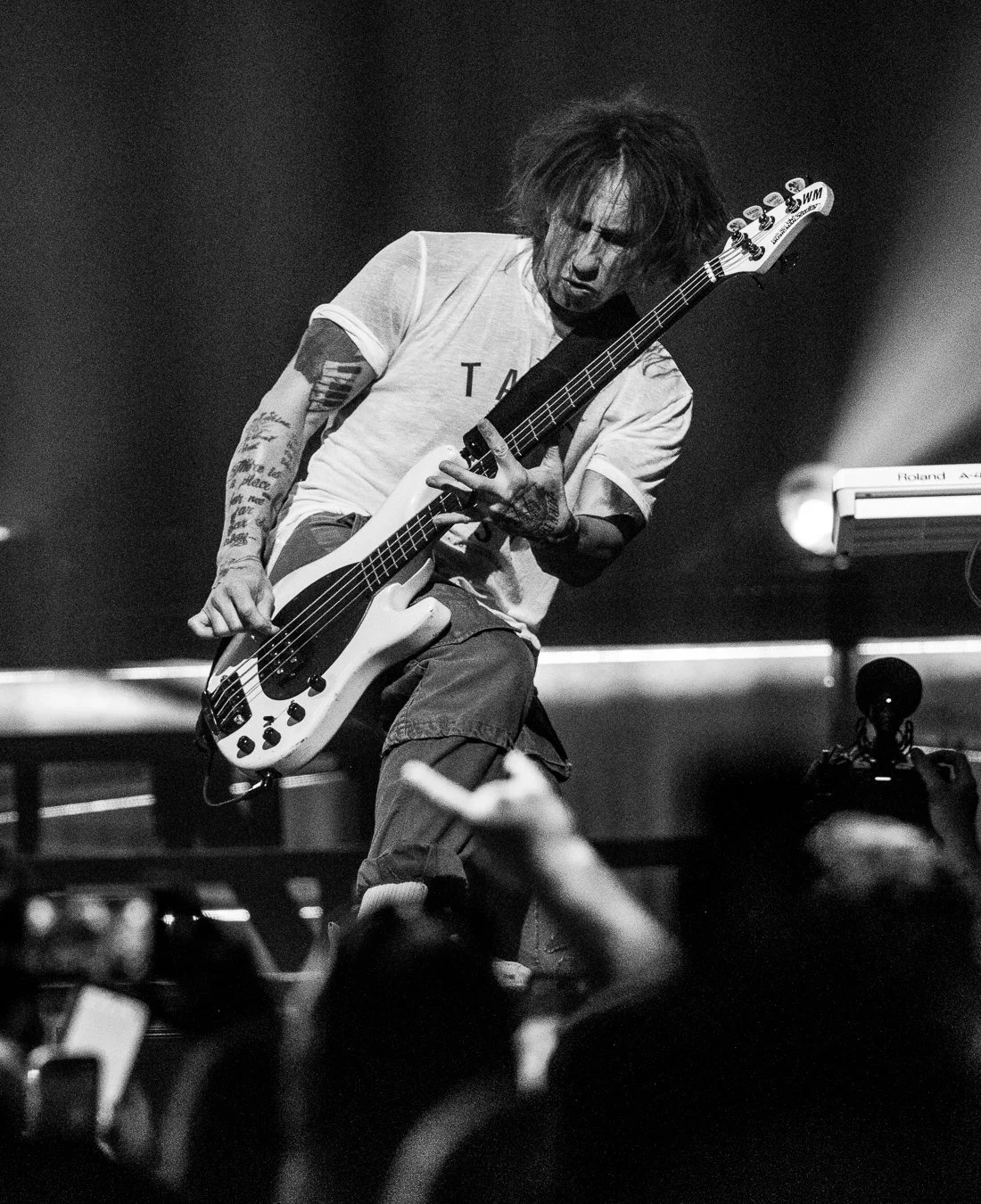 SHINEDOWN (131).jpg