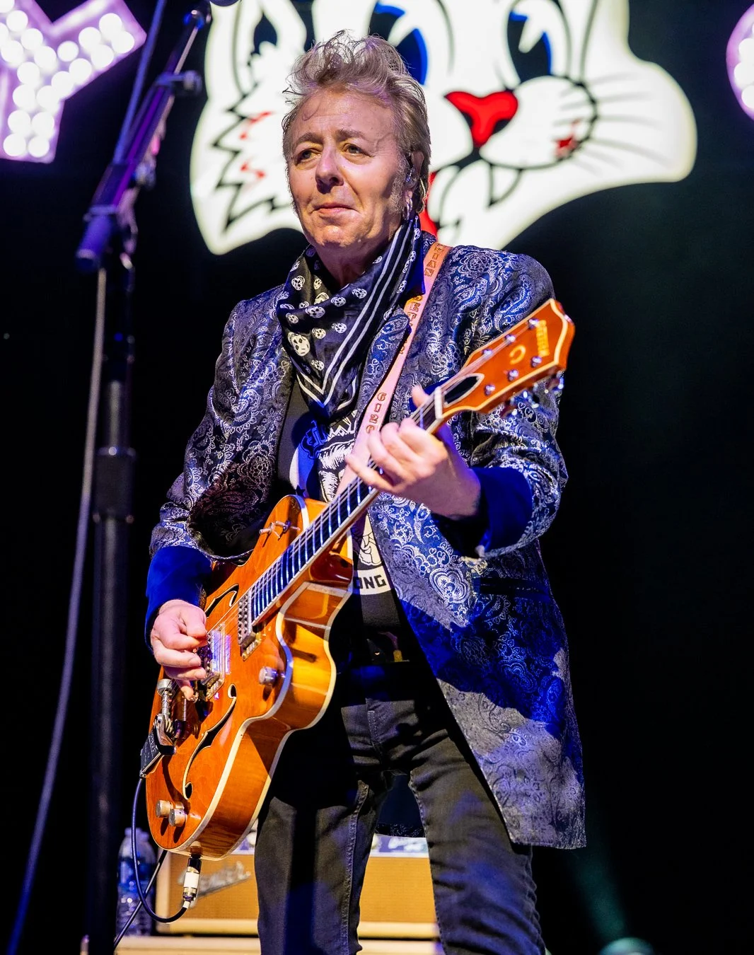 THE STRAY CATS (174).jpg