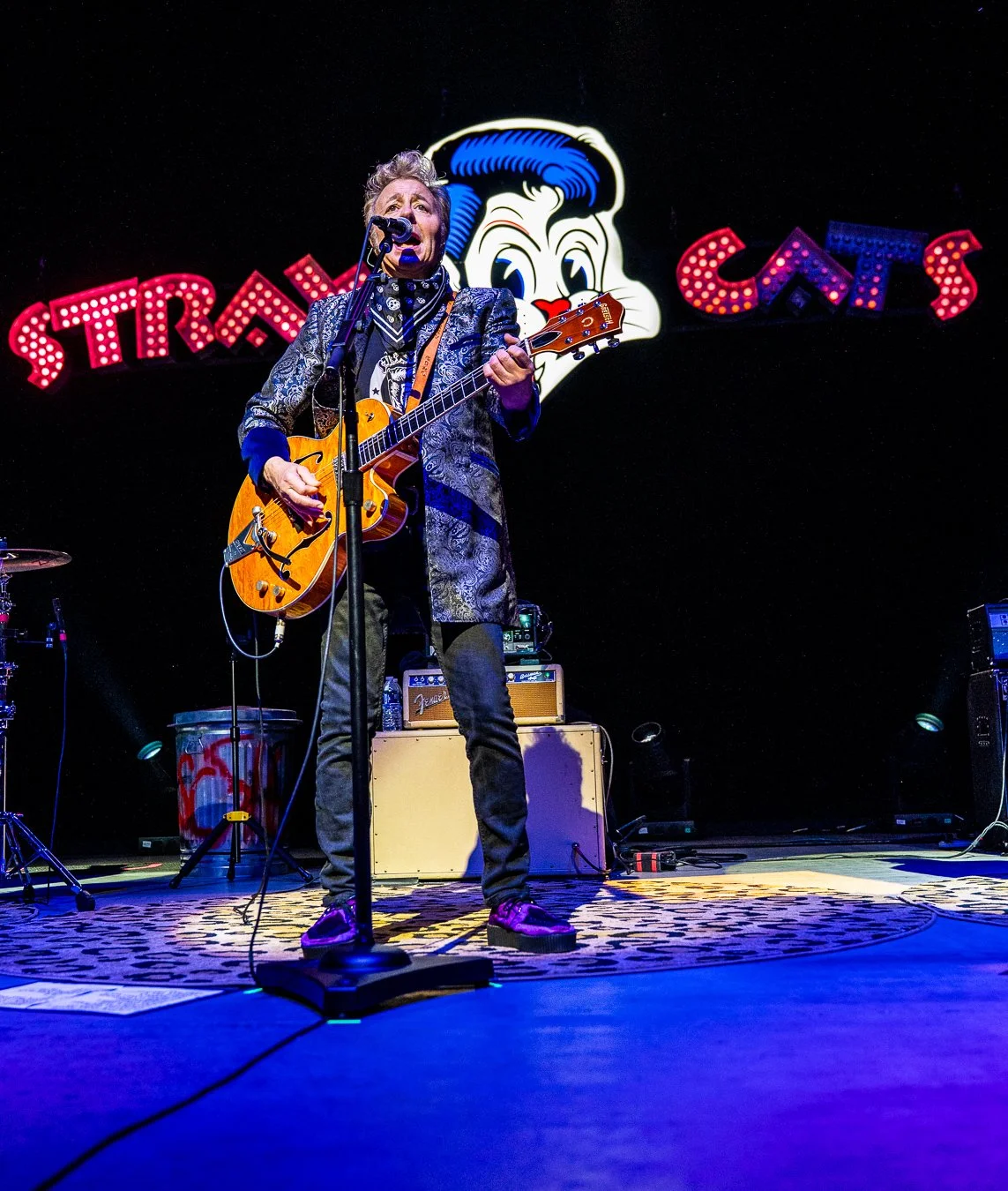 THE STRAY CATS (17).jpg