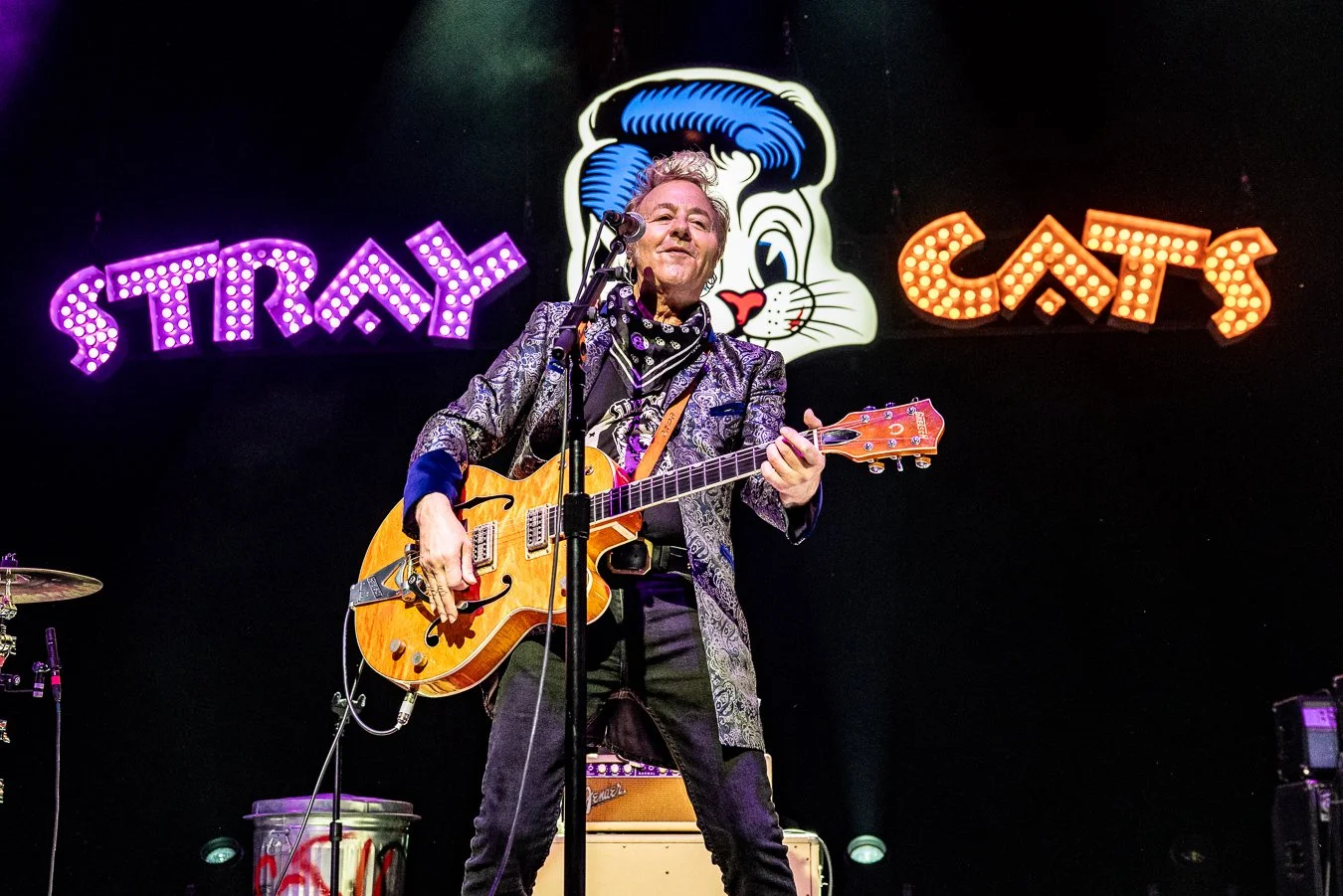 THE STRAY CATS (147).jpg
