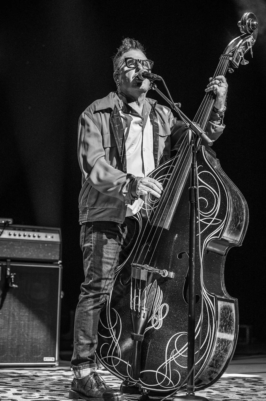 THE STRAY CATS (176).jpg