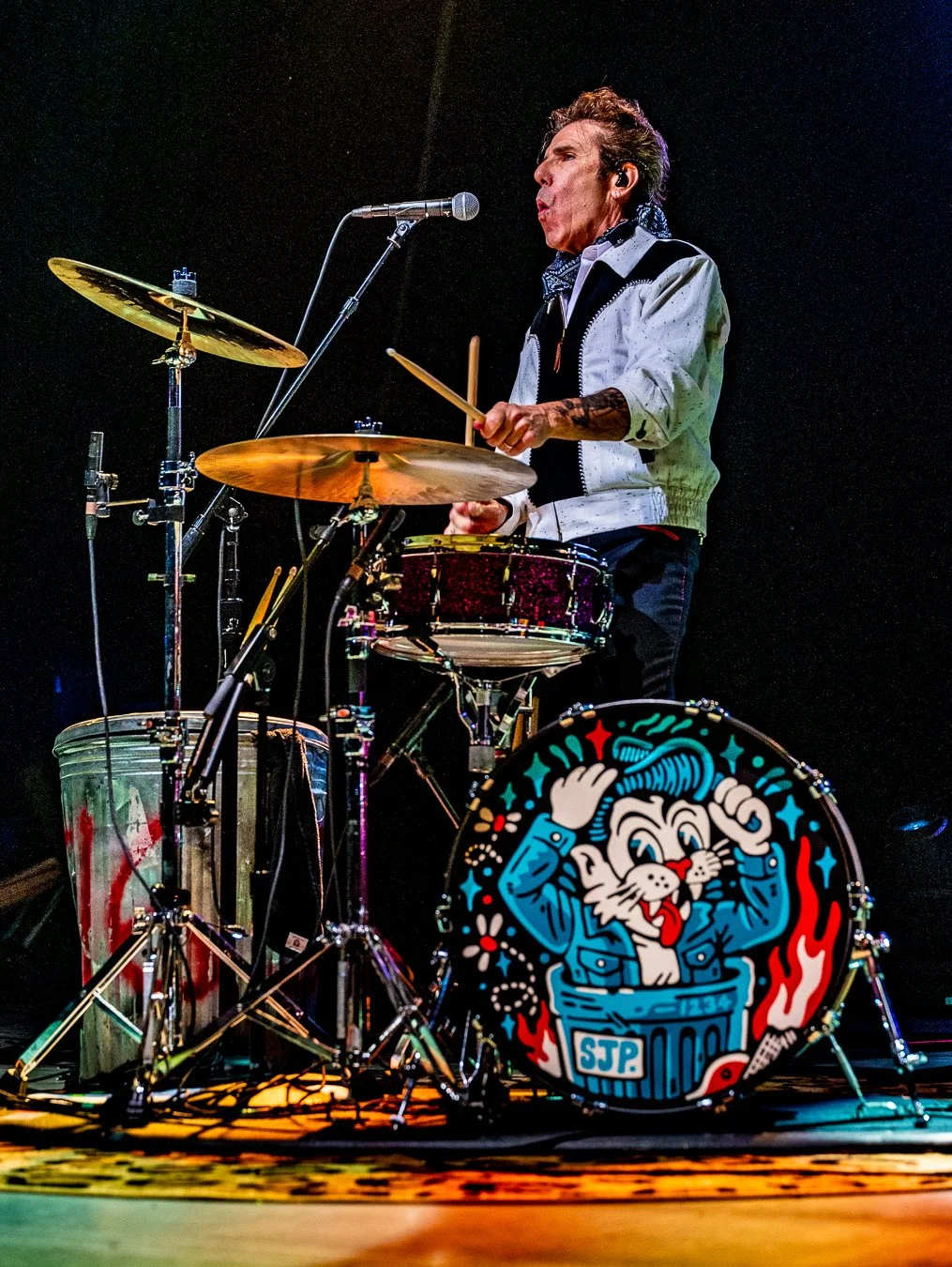 THE STRAY CATS (86).jpg