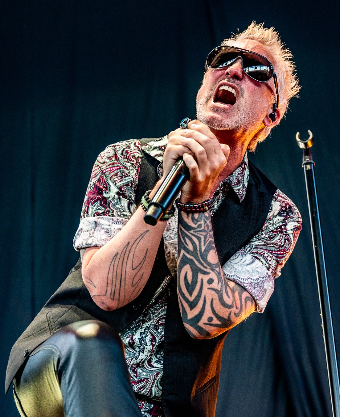 STP (22).jpg