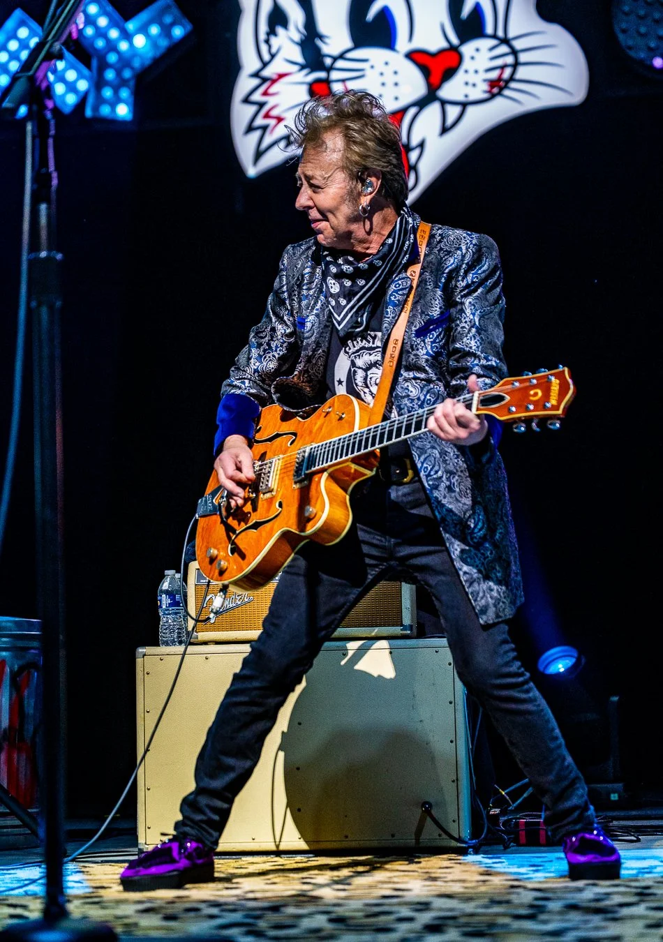 THE STRAY CATS (59).jpg