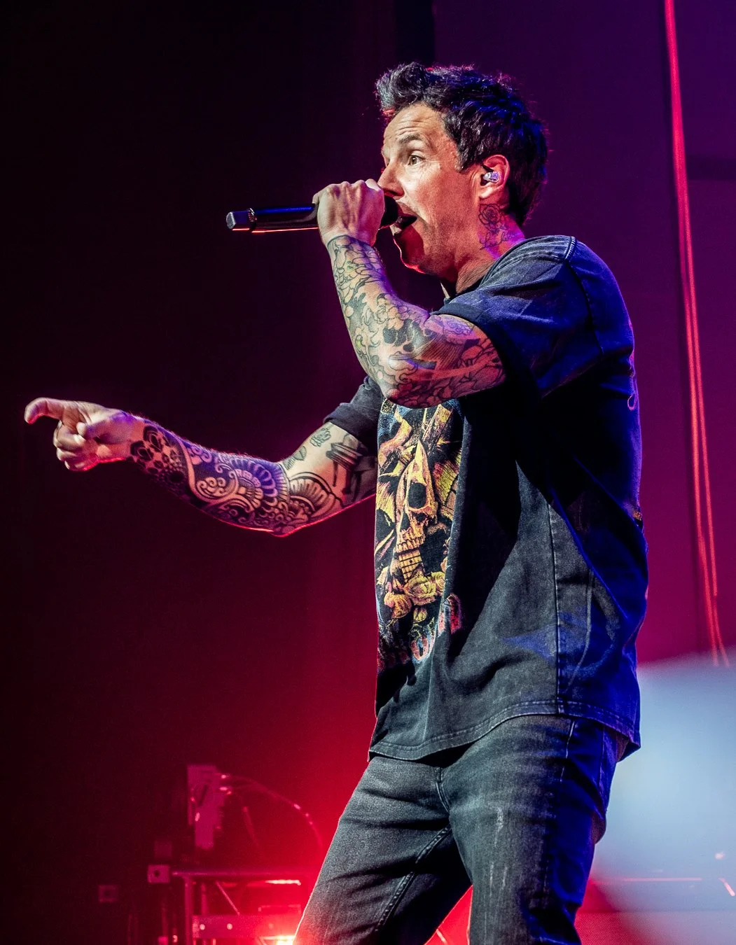 SIMPLE PLAN (9).jpg