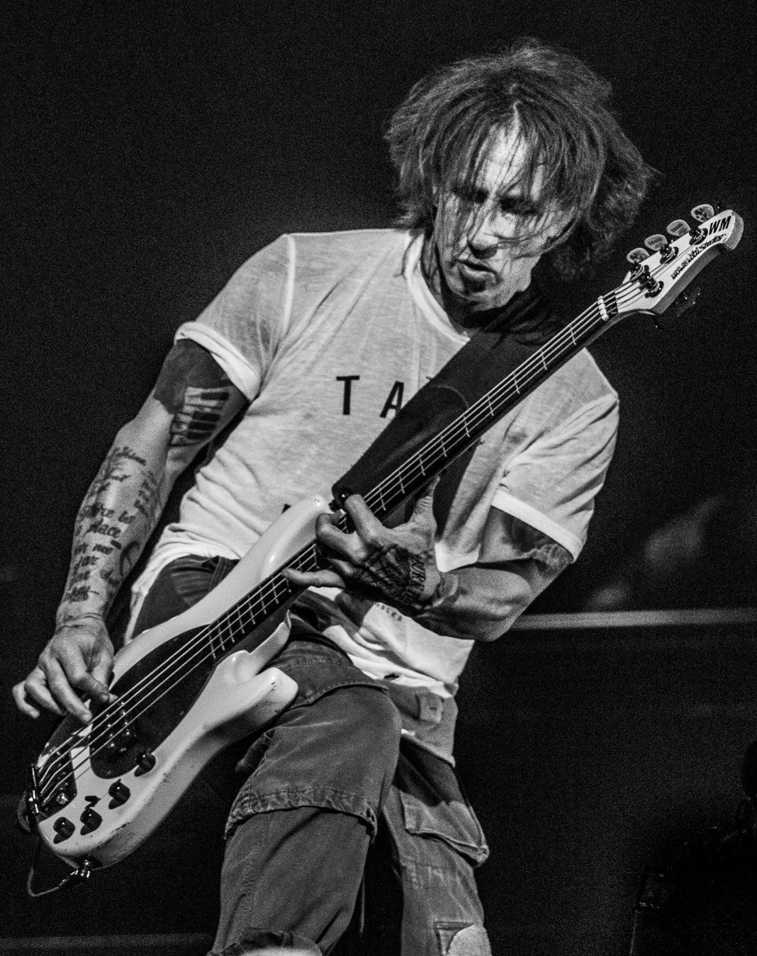 SHINEDOWN (135).jpg