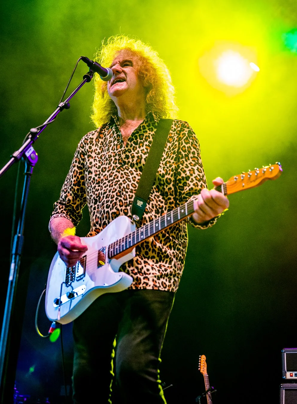 TOMMY TUTONE (24).jpg