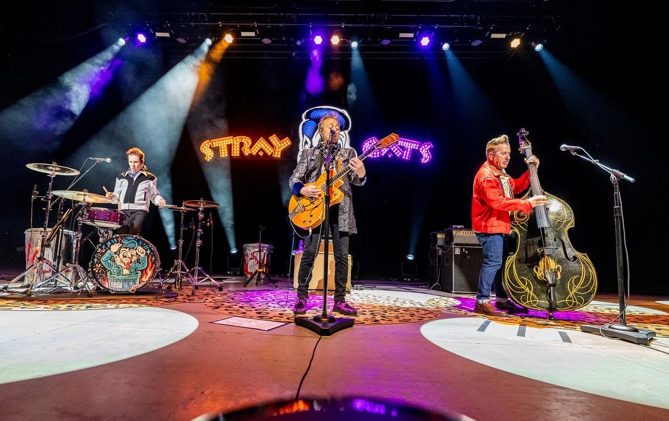 THE STRAY CATS (159).jpg