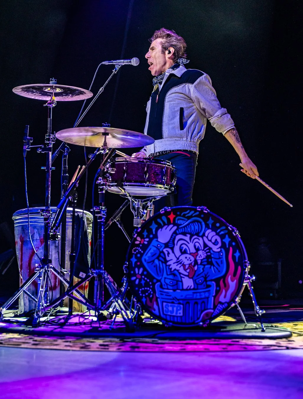 THE STRAY CATS (84).jpg
