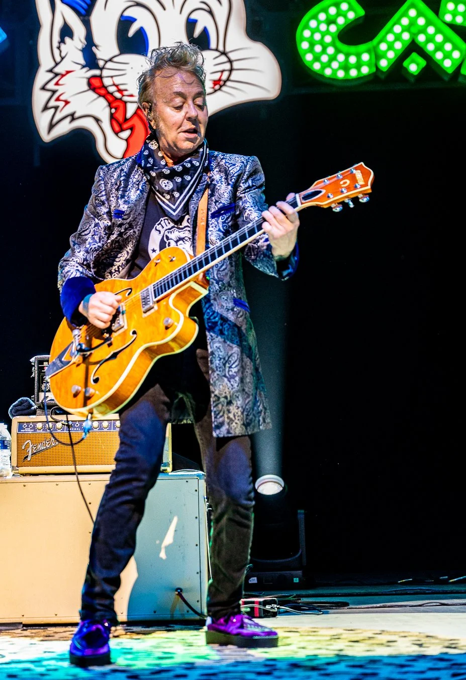 THE STRAY CATS (120).jpg