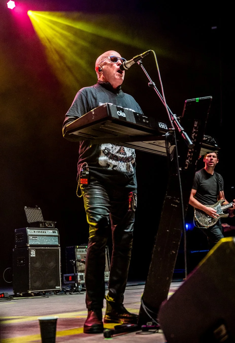 FLOCK OF SEAGULLS (1).jpg