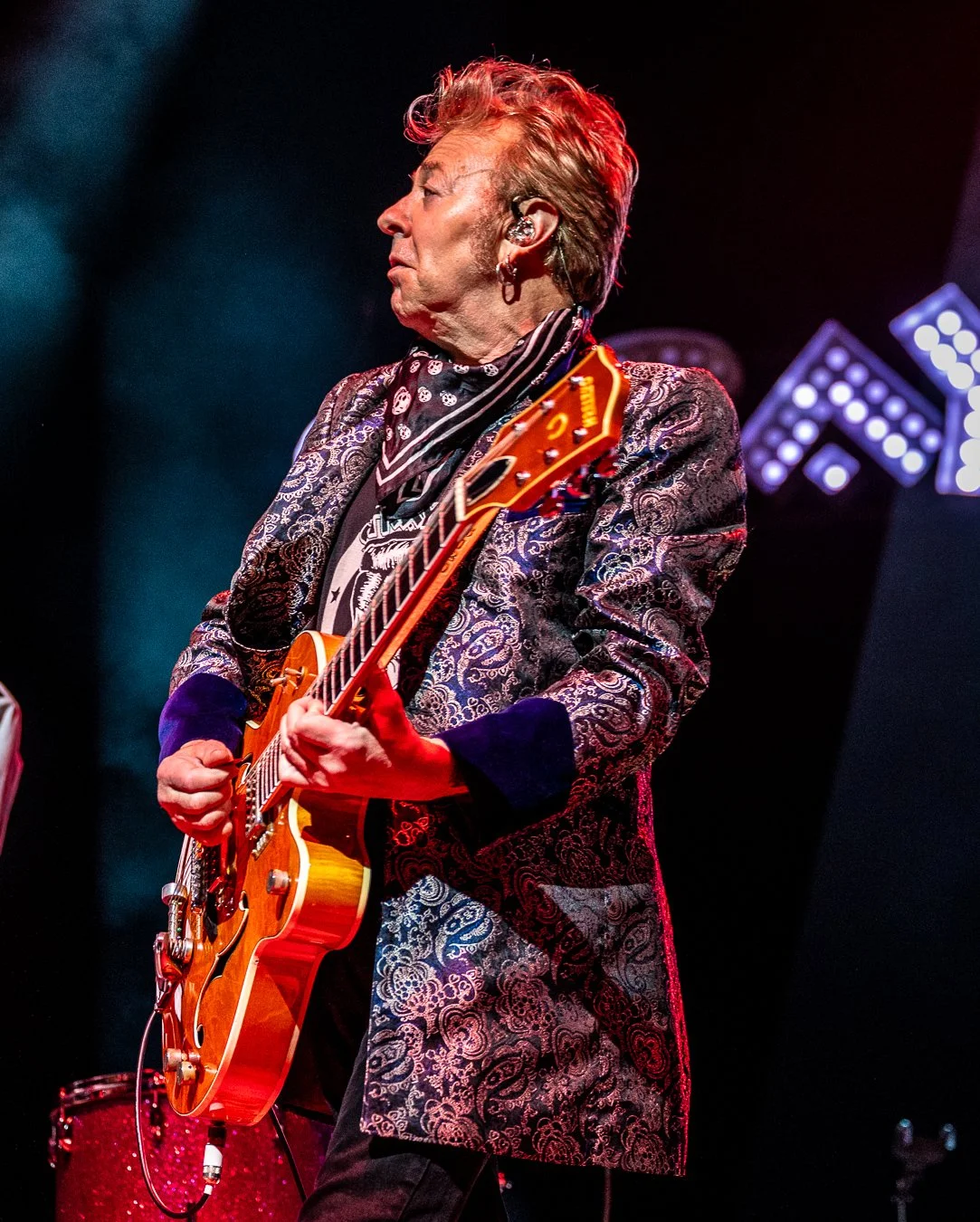 THE STRAY CATS (50).jpg