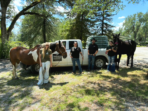 Four people standing outdoors on a grassy area with two horses and a delivery truck in the background. The horses are saddled, and the people are holding leads.