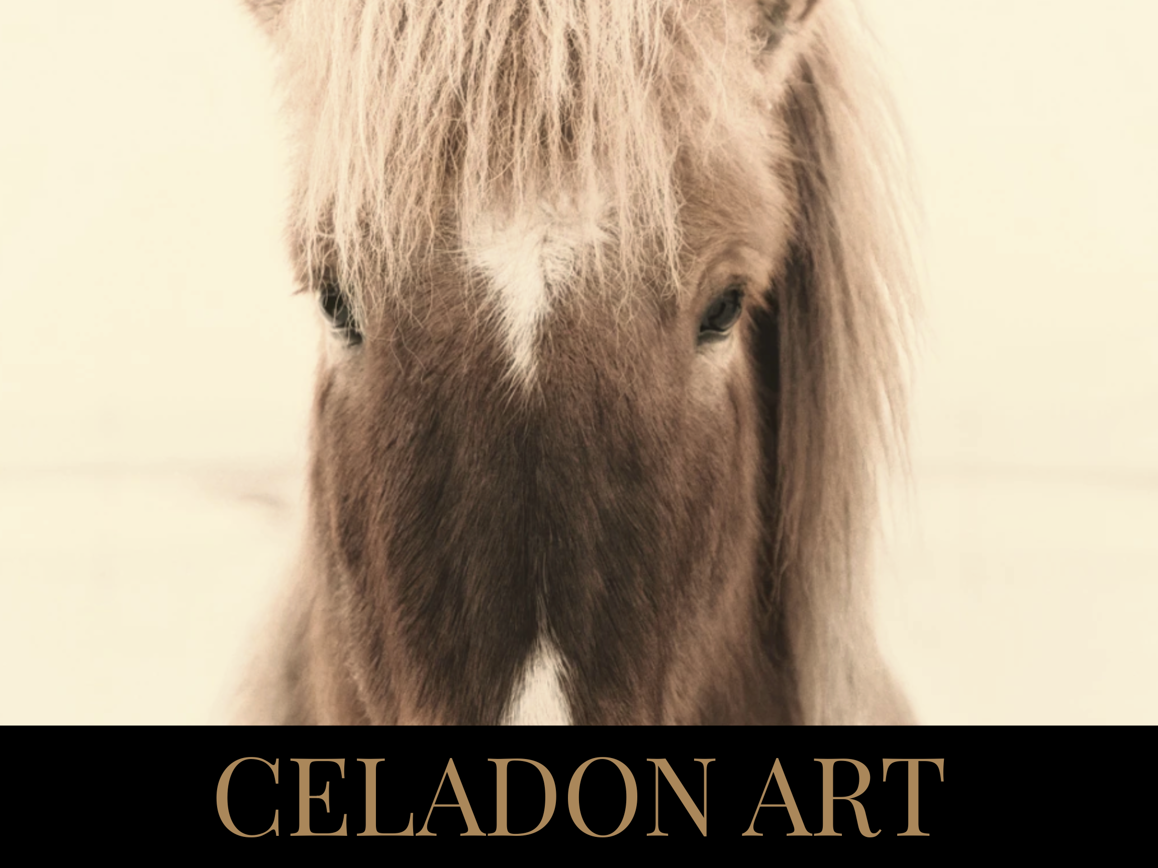 Close-up of a horse's face with a white star-shaped marking on its forehead, and the words "Celadon Art" written in gold on a black background at the bottom.