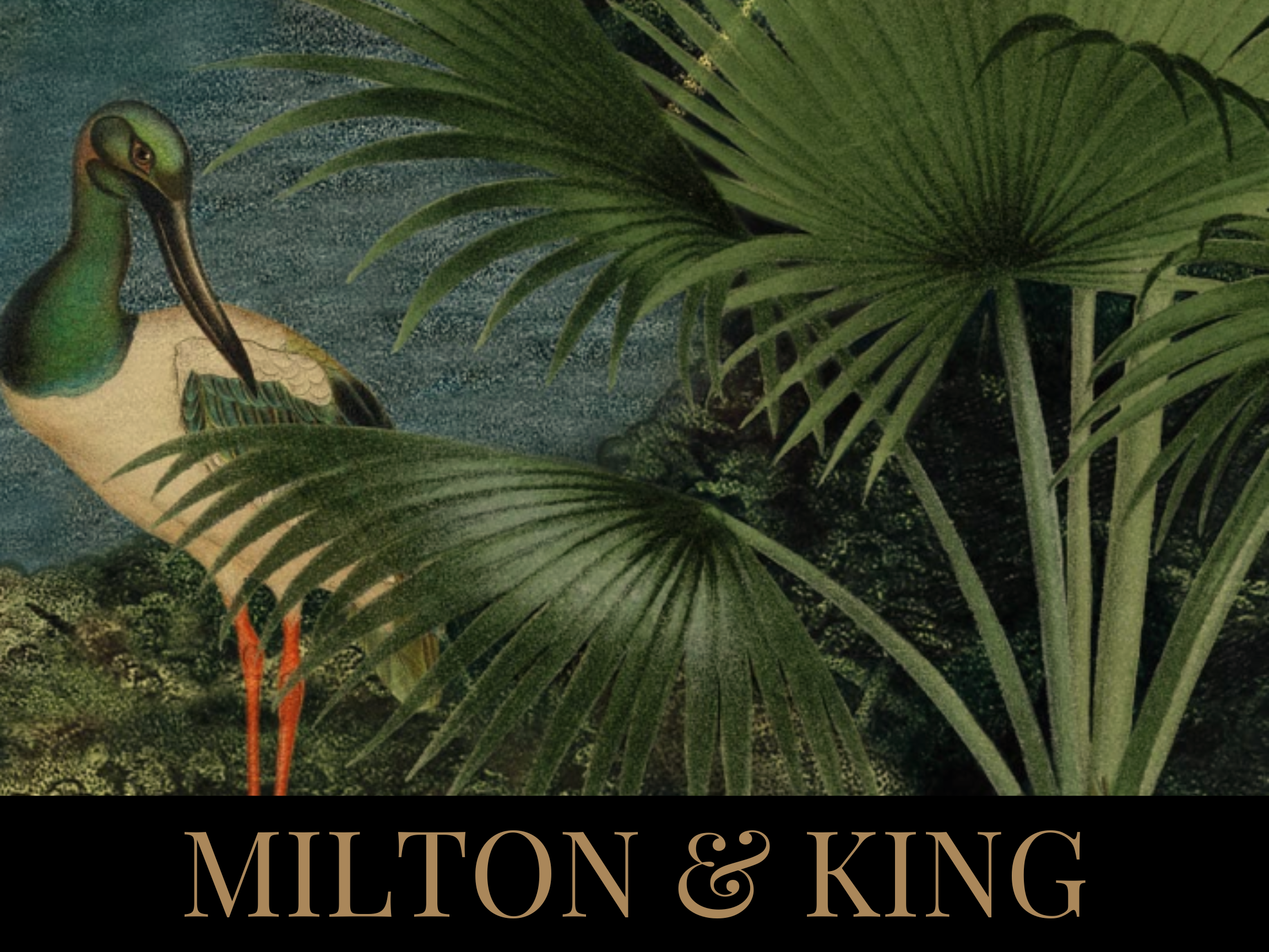 Milton & King wallpaper is available to order at The Home Studio Collective.