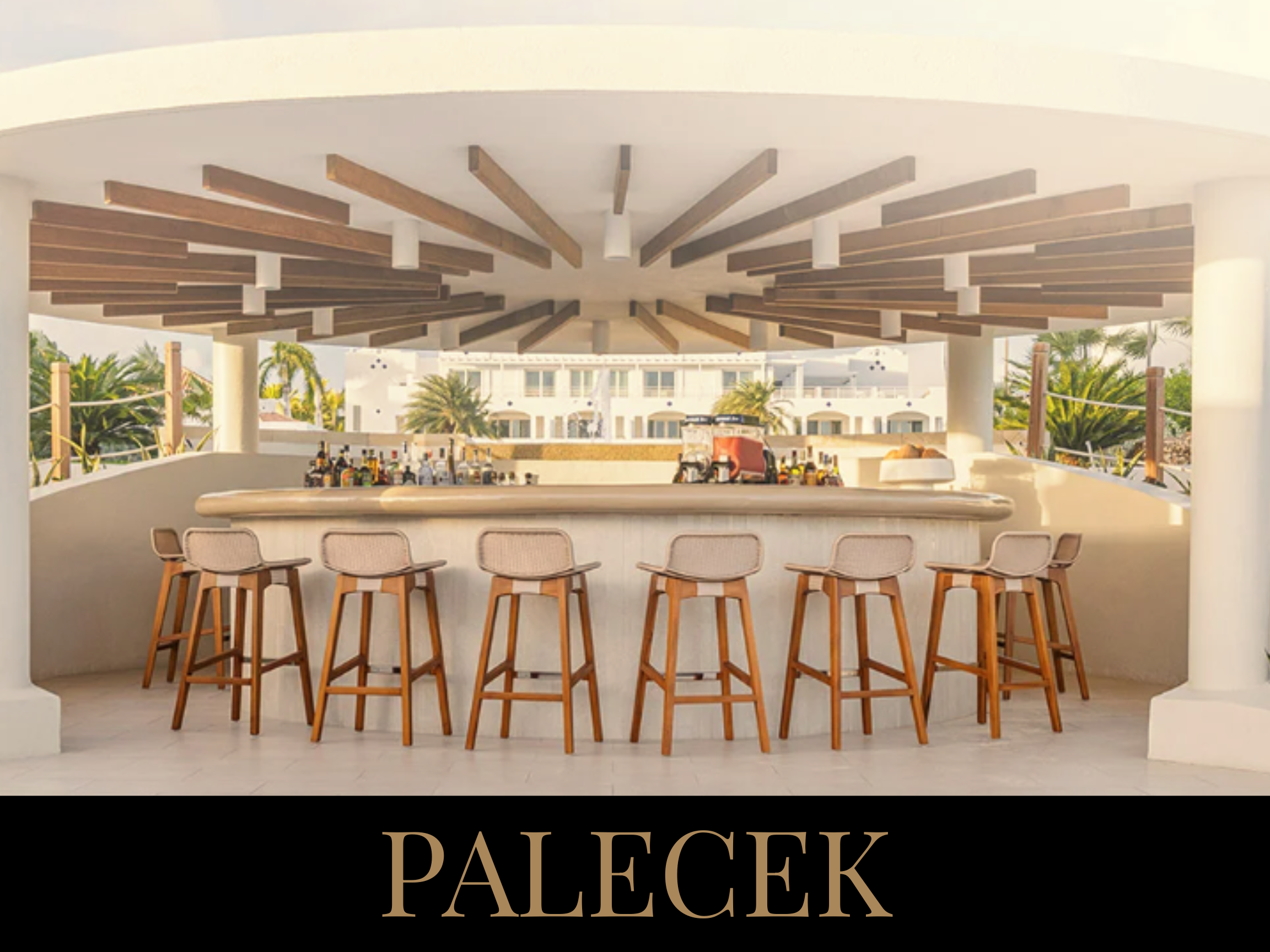 Outdoor bar area with chairs and bottles, tropical palm trees in the background, sunny weather