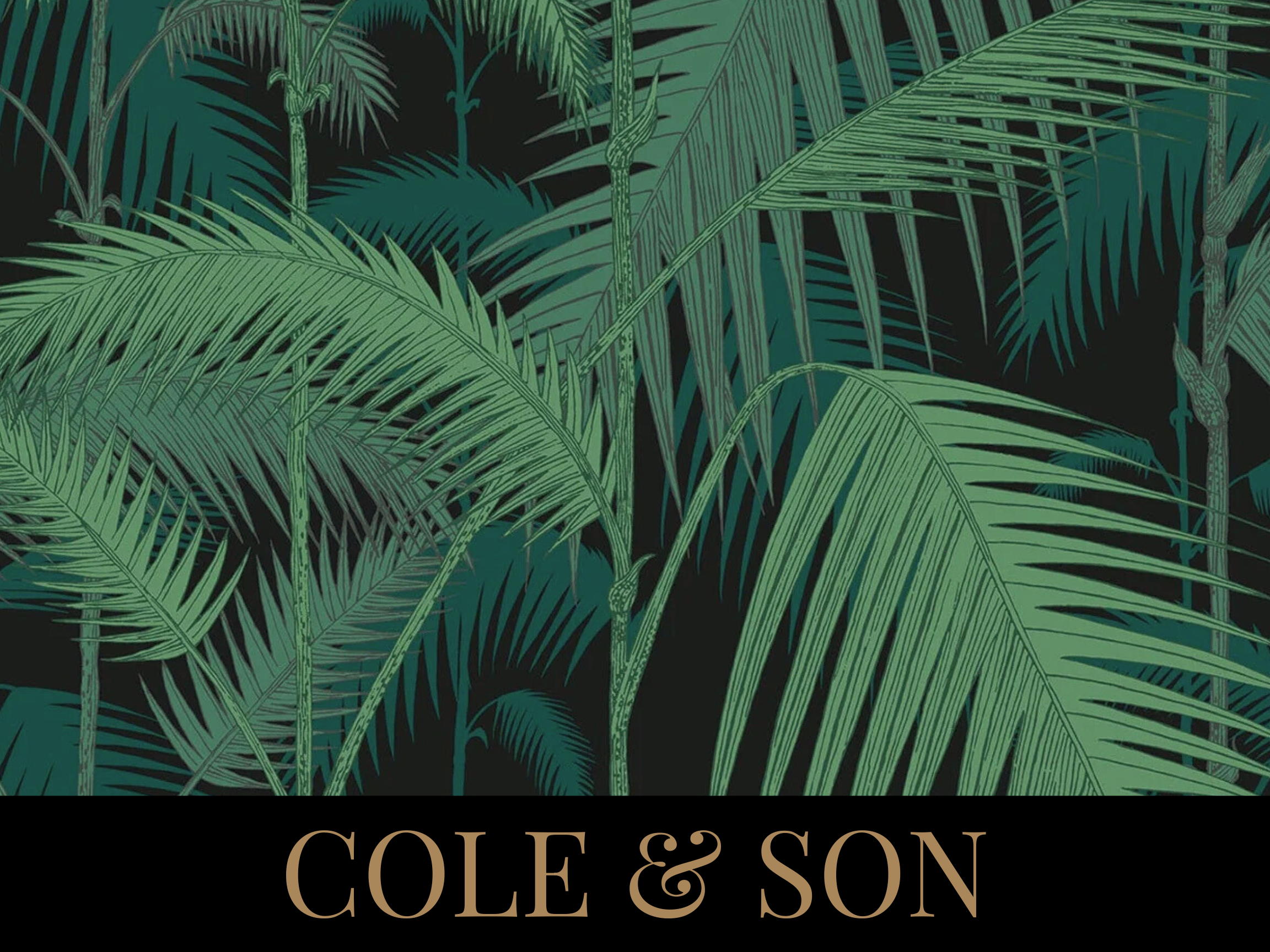 Pattern of green tropical palm leaves on black background with the text 'COLE & SON' at the bottom.
